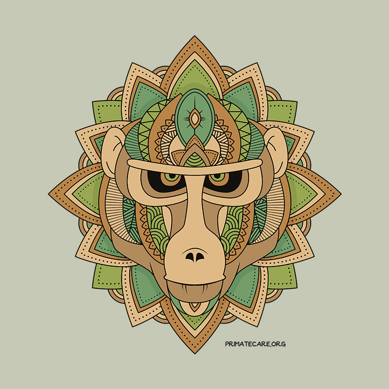 Illustration baboon mandala