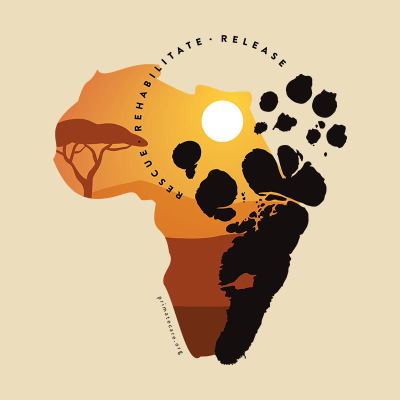 Illustration Africa and baboon hand